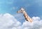 Giraffe Sticking Its Neck Through The Clouds