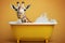 Giraffe taking a bath in a bathtub with foam, created with Generative AI technology