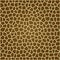 Giraffe Texture [01]