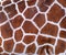 Giraffe Texture