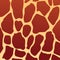 Giraffe texture