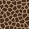 Giraffe Texture Background Fur