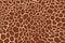 Giraffe texture pattern brown burgundy white