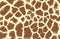 Giraffe texture pattern brown burgundy white safari zoo jungle. Vector image.