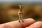 Giraffe tiny smallest animal in the world standing on human hand illustration generative ai