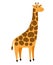 Giraffe. Vector cartoon tall giraffe character, cute african animal with spots on white