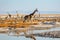 Giraffe at a waterhole in the Etosha National Park, Namibia, A herd of giraffes and zebras in Etosha National Park, Namibia,