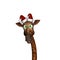 Giraffe Wearing Santa Hats