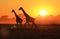 Giraffe - Wildlife Background - Sunset Gold