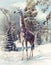 Giraffe in the winter forest