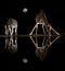 Giraffe and zebra drinking from a pool at night in the moonshine