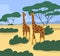 Giraffes couple wild African animals in tropical nature, savanna landscape. Savana park, safari parkland in Africa