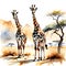 Giraffes in the desert. Water scarcity