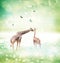 Giraffes in friendship or love concept image