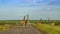 Giraffes in a green savannah crossing the road, Kruger Park, South Africa