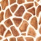 Giraffes spots seamless pattern