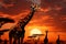 Giraffes in twilight a transformed scene beneath the setting sun