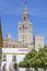 The Giralda from Alcazar orange trees courtyard, Seville, Spain