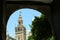 Giralda Cathedral through an arch in Seville, Andalusia.