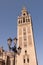 The Giralda Tower in Seville