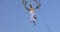 Girl acrobat in white dress in the air above the street in a big chandelier on the rope