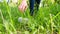 Girl activist picks up a plastic bottle lying on the green grass. Environmental protection. Garbage processing.