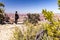 The girl admires the view from the edge of the cliff at the Grand Canyon in the USA