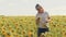 Girl agronomist with a tablet works in a field with sunflower. Grow seeds for squeezing vegetable oil. Make online sales