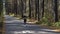 Girl athlete runs along the road in the woods.