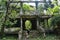 A girl on the background of a picturesque abandoned house in the greenery. New Athos Abkhazia 2019.