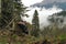 A girl with a backpack climbs a steep mountain