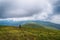 Girl with a backpack in the mountains. Low clouds. Fog. Solitude with nature. Loneliness. Freedom. Tourism.