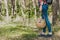 A girl with a basket in hand walks through the woods. Concept on the theme of outdoor recreation