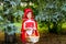 Girl with a basket of pies in the forest