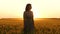 A girl in a beautiful dress walks in a golden wheat field in slow motion during sunset.