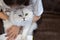 Girl with beautiful silver shaded chinchilla cat