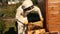 A girl beekeeper in a protective white suit examines a frame with honeycombs on which the bees crawl.