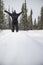 Girl from behind in snow overalls with written word dreamer in front of snowy forest