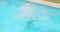 Girl in Bikini Doing Back Flip into Pool