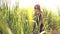 Girl black sunglasses goes across the field through tall grass