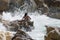 Girl in black swimsuit taking shower of splashes from surf