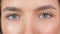 Girl Blinking Eyes with Beautiful Iris. Close-Up of Two Female Eyes with Moving Pupils and Natural Long Eyelashes. Human