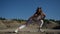 Girl blonde in white suit does stretching legs surrounded by sands