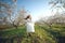 Girl in a blooming garden. A beautiful girl runs in a field with flowers.