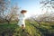 Girl in a blooming garden. A beautiful girl runs in a field with flowers.