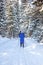 A girl in a blue jacket goes skiing in a snowy forest in winter