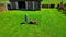 A girl in blue jeans and a sweater and a bright blue baseball cap mows grass with a red lawn mower on a green lawn