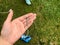 The girl with blue manicure has a long nail in her palm. metal nail, silver, chrome. against the background of grass and tools for