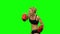 Girl boxer in red gloves beats sends alternating hands. Green screen. Side view