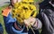 Girl and boy are holding a bouquet of dandelions. Spring bouquet of dandelions